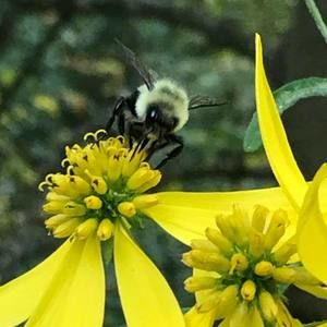 Meet your Posher, Anita